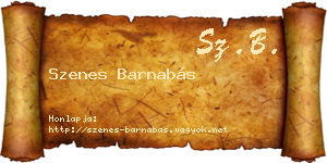 Szenes Barnabás névjegykártya