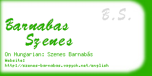 barnabas szenes business card