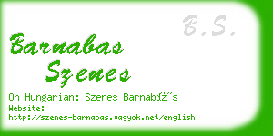 barnabas szenes business card